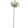 Toolhome Blossoms – Queen Anne Lace – Cream – 72cm Toolhome Blossoms – Queen Anne Lace – Cream – 72cm