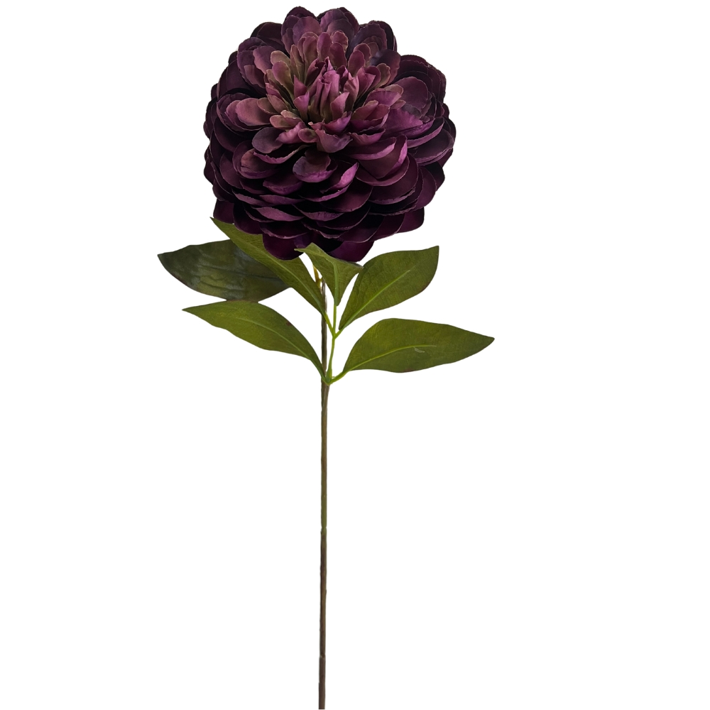 Toolhome Blossoms – Dahlia – Purple – 62cm