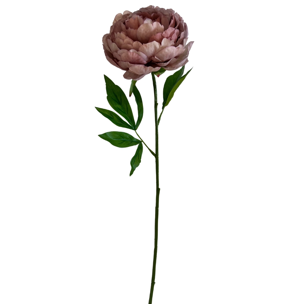 Toolhome Blossoms – Peony – Mauve – 57cm
