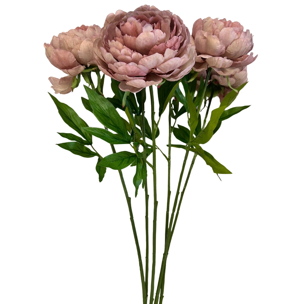 Toolhome Blossoms – Peonies – Mauve (Pack of 12 Stems)- 57cm