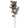 Toolhome Blossoms – Eucalyptus Burgundy – 93cm Toolhome Blossoms – Eucalyptus Burgundy – 93cm