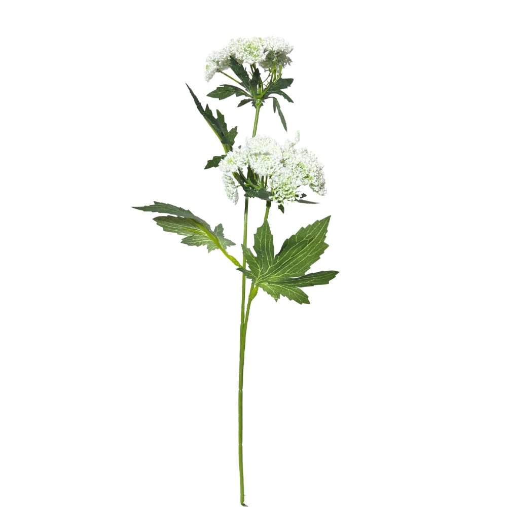 Toolhome Blossoms -Queen Anne Lace – White – 49cm