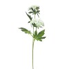 Toolhome Blossoms -Queen Anne Lace – White – 49cm Toolhome Blossoms -Queen Anne Lace – White – 49cm