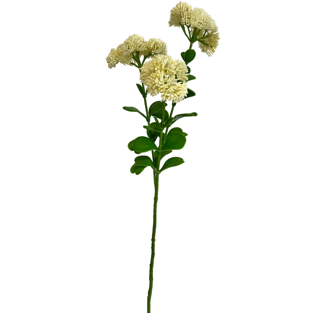 Toolhome Blossoms – Sedum – Cream – 56cm