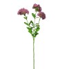 Toolhome Blossoms – Sedum – Pink – 56cm Toolhome Blossoms – Sedum – Pink – 56cm