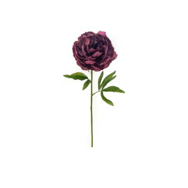 Toolhome Blossoms – Peony – Plum (Pack of 6 Stems) – 62cm