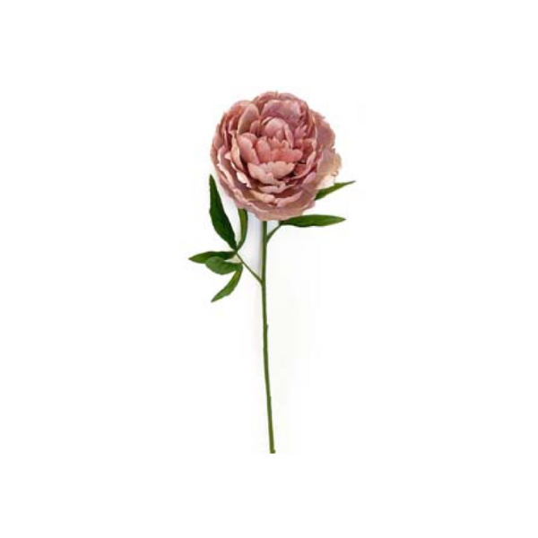 Toolhome Blossoms – Peony – Mauve – 62cm