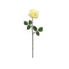 Toolhome Blossoms – Rose Kaia – Cream (Pack of 6) – 64cm Toolhome Blossoms – Rose Kaia – Cream (Pack of 6) – 64cm