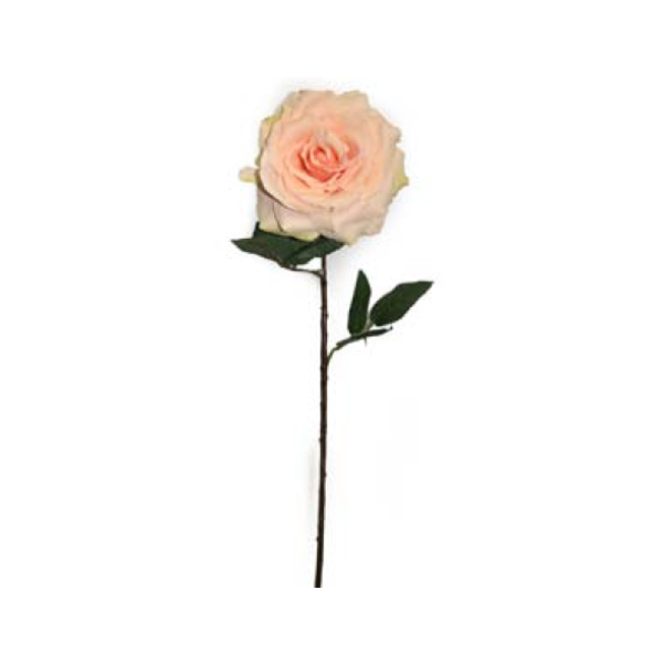 Toolhome Blossoms – Summer Rose – Soft Pink – 63cm