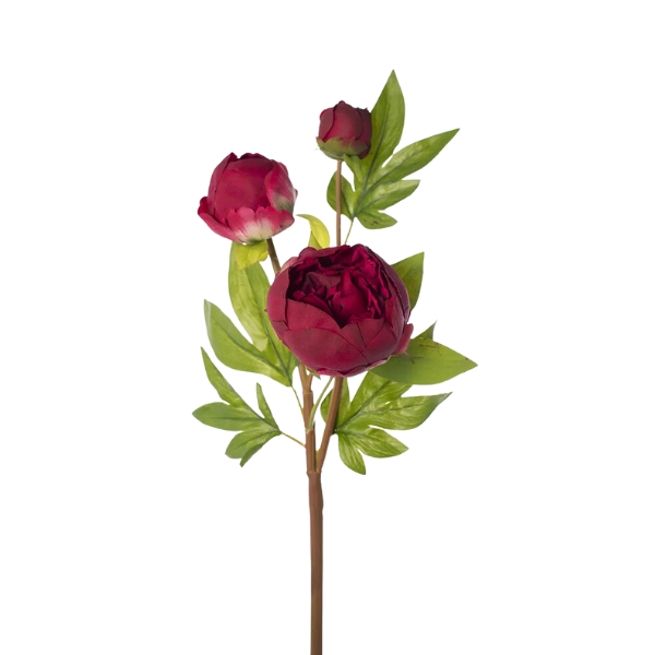 Toolhome Blossoms – Peony – 49cm – Dark Red