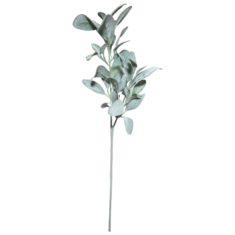 Toolhome Blossoms – Lambs Ear – Grey Green – 71cm
