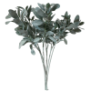 Toolhome Blossoms – Lambs Ear – Grey Green (Pack of 6 Stems) – 71cm Toolhome Blossoms – Lambs Ear – Grey Green (Pack of 6 Stems) – 71cm