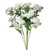 Toolhome Blossoms -Queen Anne Lace – White (Pack of 12 Stems) – 49cm Toolhome Blossoms -Queen Anne Lace – White (Pack of 12 Stems) – 49cm