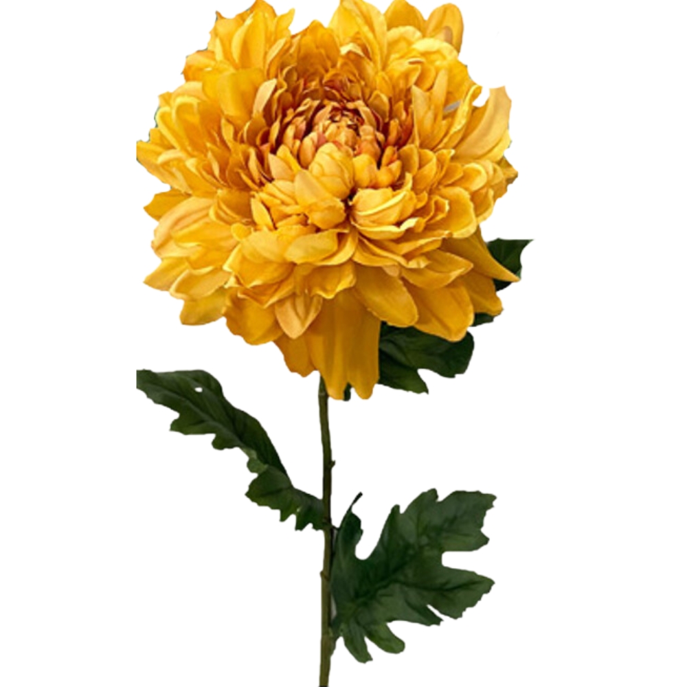 Toolhome Blossoms – Chrysanthemums Mums – Mustard (Pack of 6 Stems) – 76cm