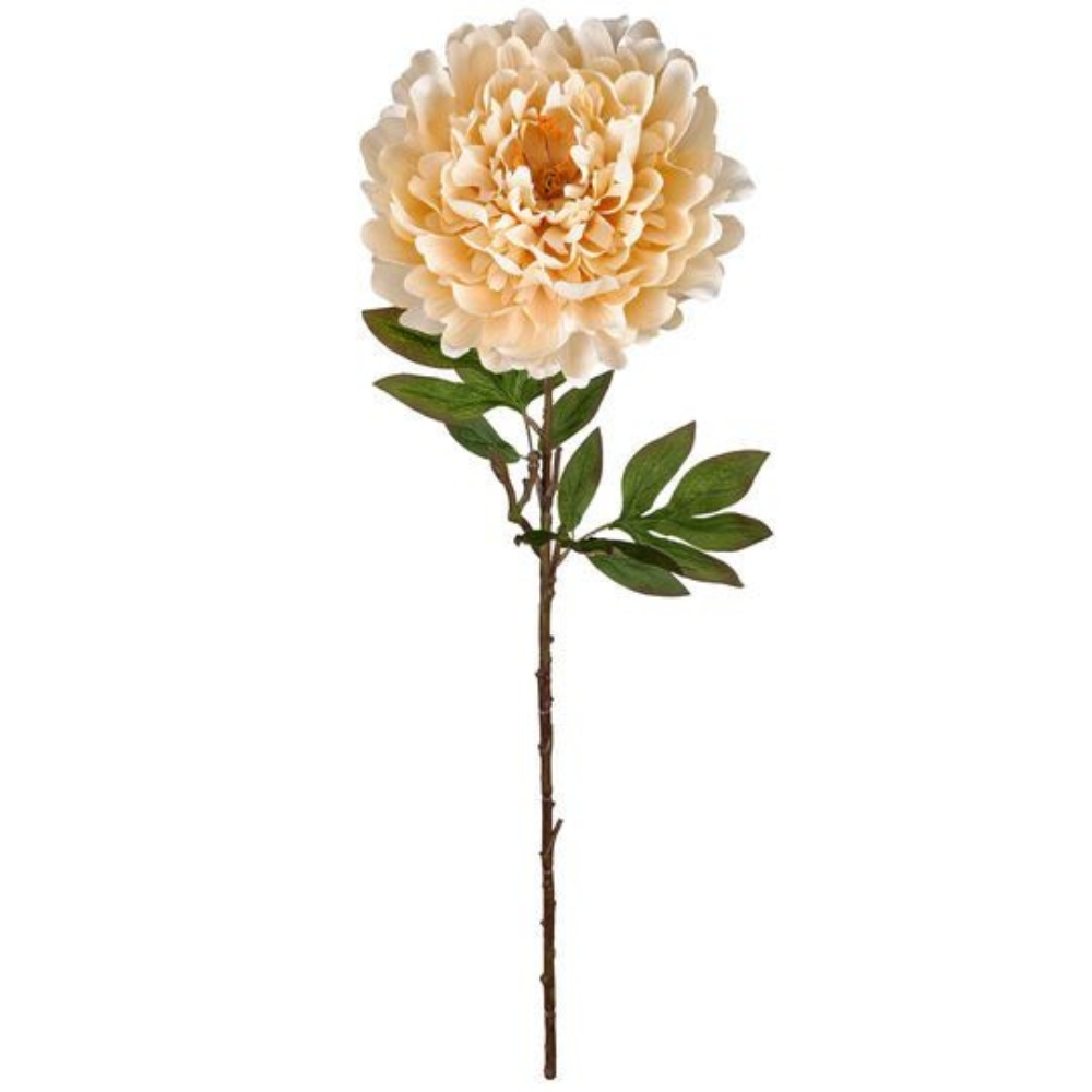 Toolhome Blossoms – Peony – Cream – 71cm