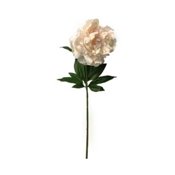 Toolhome Blossoms – Peony – Pink Pearl (Pack of 6 Stems) – 71cm