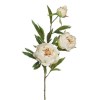 Toolhome Blossoms – Peony Spray – Sea Shell – 74cm Toolhome Blossoms – Peony Spray – Sea Shell – 74cm