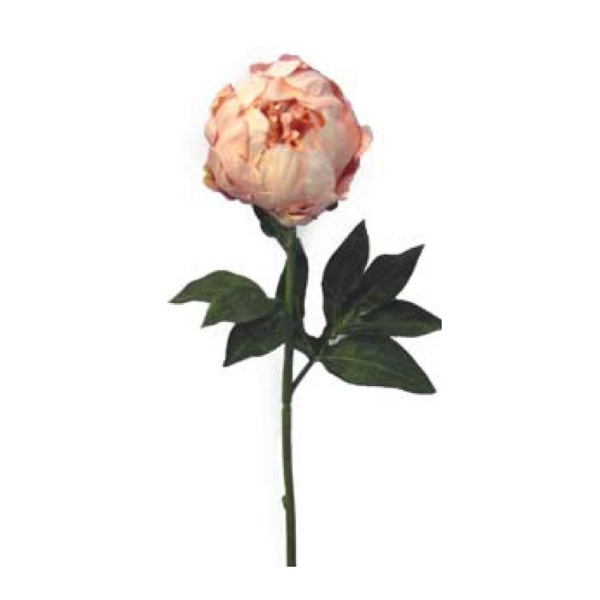 Toolhome Blossoms – Closed Peony – Light Pink – 47cm