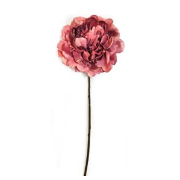 Toolhome Blossoms – Peony – Dark Pink (Pack of 6 Stems) – 59cm