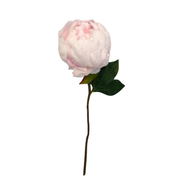 Toolhome Blossoms – Closed Peony – Baby Pink – 32cm