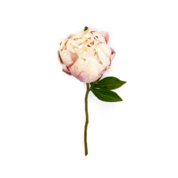 Toolhome Blossoms – Closed Peony – Light Pink (Pack of 6 Stems) – 30cm