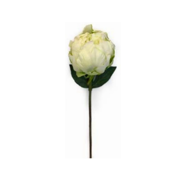 Toolhome Blossoms – Closed Peony – White Green (Pack of 6 Stems) – 32cm