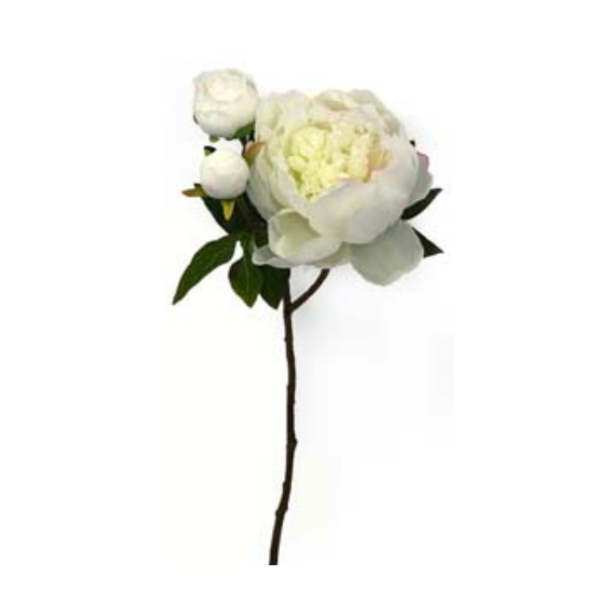 Toolhome Blossoms – Peony – White (Pack of 6 Stems) – 49cm