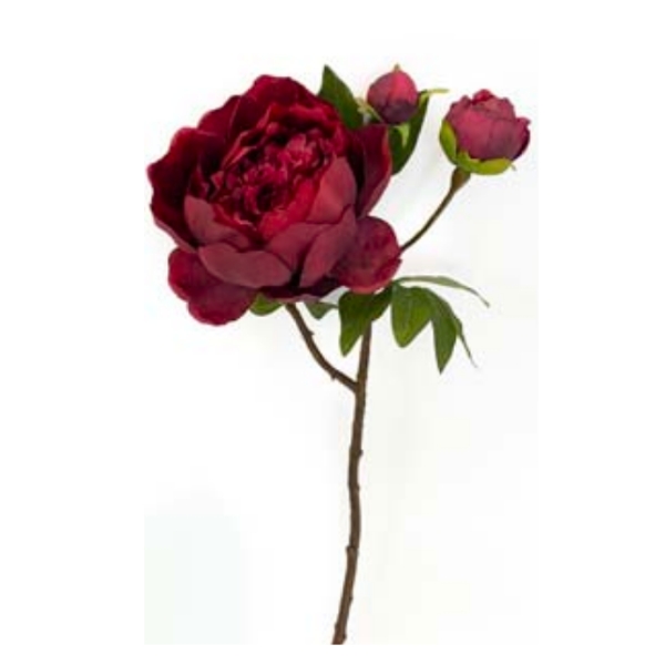 Toolhome Blossoms – Peony – Dark Red (Pack of 6 Stems) – 49cm