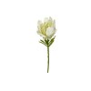 Toolhome Blossoms – Protea Single 38cm White – Pack of 6 Toolhome Blossoms – Protea Single 38cm White – Pack of 6