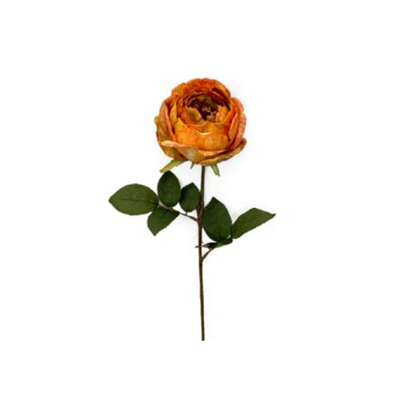 Toolhome Blossoms – Cabbage Rose Mustard – 66cm