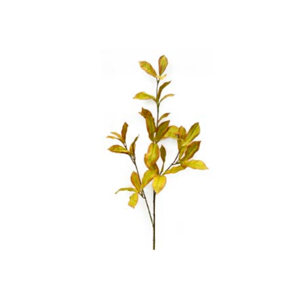 Toolhome Blossoms – Photina Green Brown – 91cm