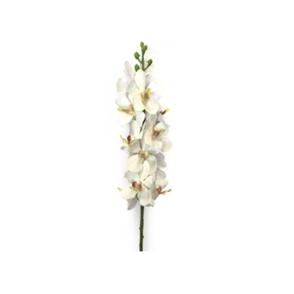 Toolhome Blossoms – Orchid Vanda White – 74cm – Pack of 2
