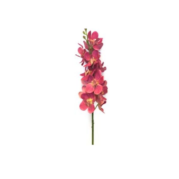Toolhome Blossoms – Orchid Vanda Pink – 74cm – Pack of 4