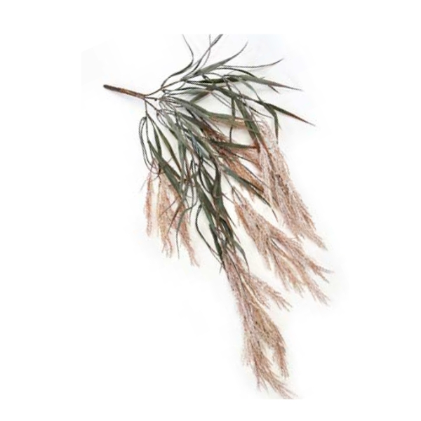 Toolhome Blossoms – Hanging Wheat Bush Lt Brown – 84cm