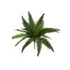 Toolhome Blossoms – Boston Fern Bush Green – 56cm Toolhome Blossoms – Boston Fern Bush Green – 56cm
