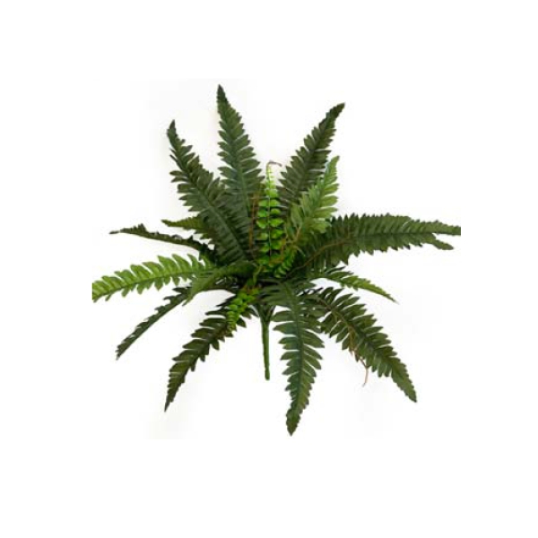 Toolhome Blossoms – Boston Fern Bush Green – 56cm