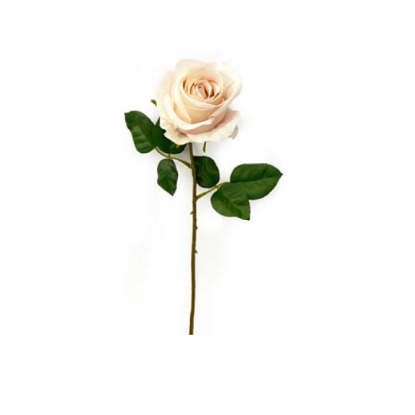Toolhome Blossoms – Roses – Light Pink – Pack of 6 Stems – 46cm