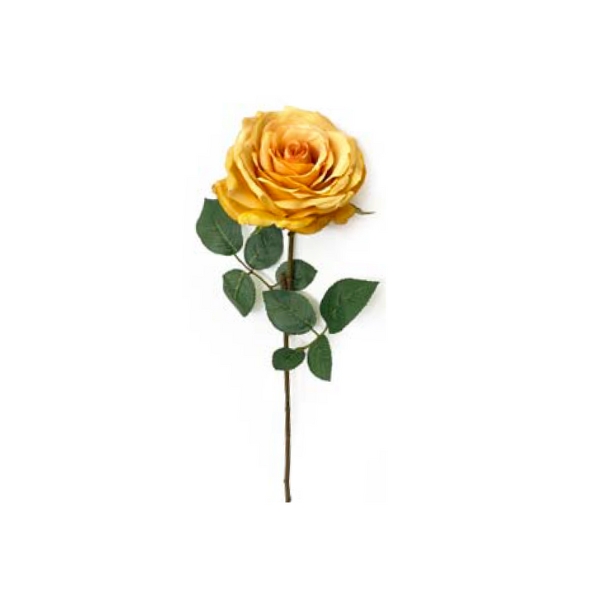 Toolhome Blossoms – Rose Full Bloom – Mustard – Pack of 6 – 64cm