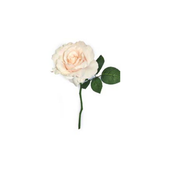Toolhome Blossoms – Rose Georgia – Dark Pearl – 30cm