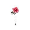Toolhome Blossoms – Open Roses – Dark Pink – Pack of 6 Stems – 35cm Toolhome Blossoms – Open Roses – Dark Pink – Pack of 6 Stems – 35cm
