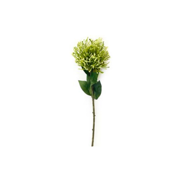 Toolhome Blossoms – Green Pincushions – Pack of 6 – 73cm