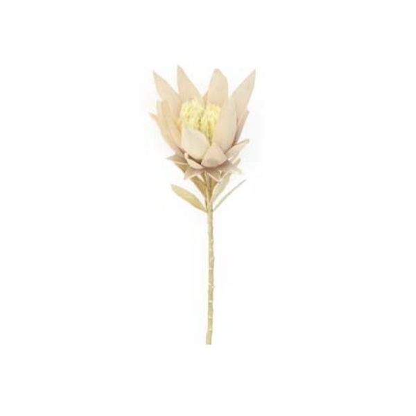 Toolhome Blossoms – Proteas – Light Pink – 38cm