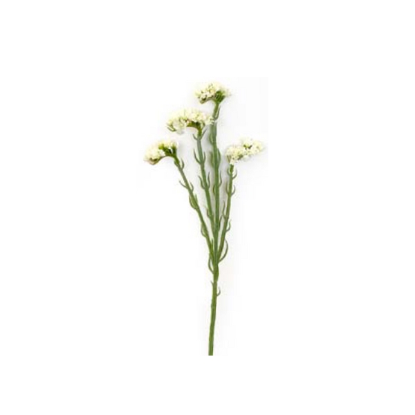 Toolhome Blossoms – Statice – Cream – 68cm