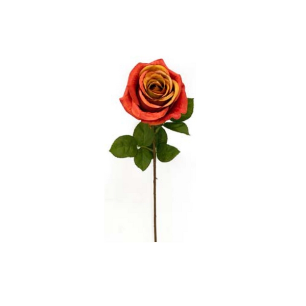Toolhome Blossoms – Roses – Rust – 56cm