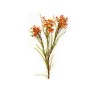Toolhome Blossoms – Wax Flowers – Orange – 78cm Toolhome Blossoms – Wax Flowers – Orange – 78cm