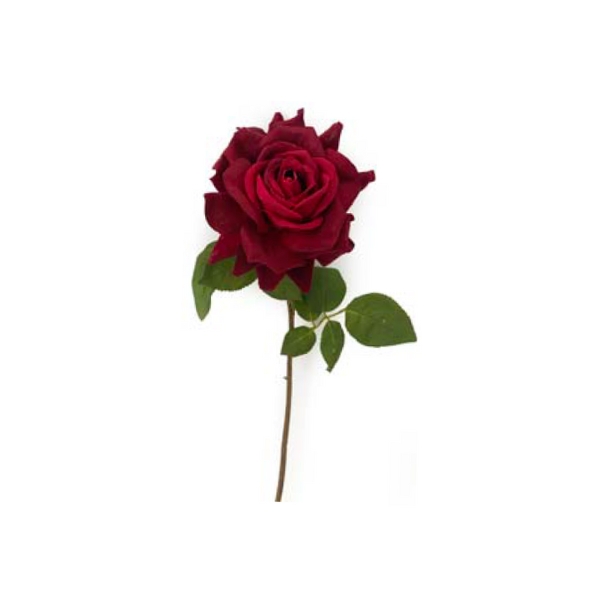 Toolhome Blossoms – Rose Velvet – Red – Pack of 12 Stems – 52cm