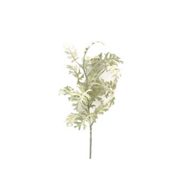 Toolhome Blossoms – Dusty Miller – Grey Cream – Pack of 12 Stems – 48cm