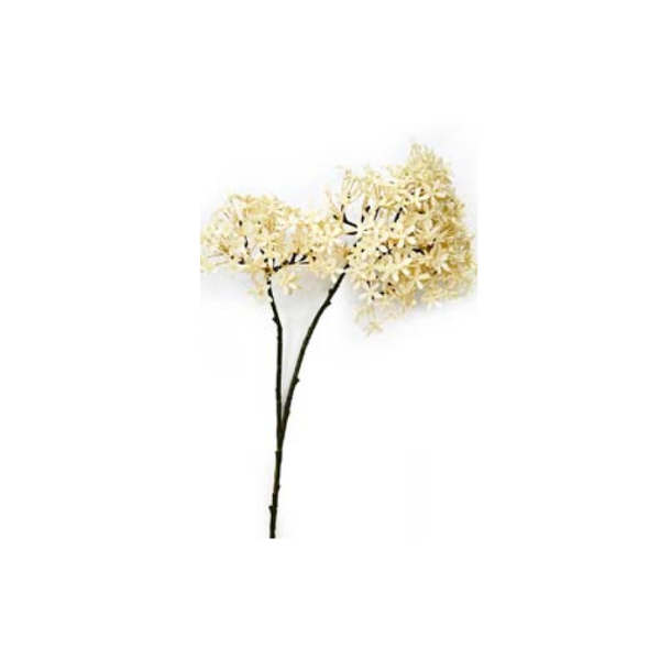 Toolhome Blossoms – Crown Cream – Pack of 12 Stems – 81cm