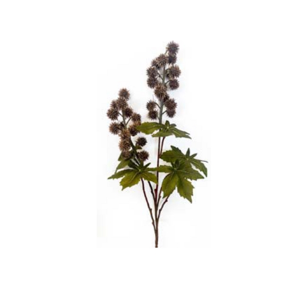 Toolhome Blossoms – Ricinus Brown – 67cm – Pack of 12