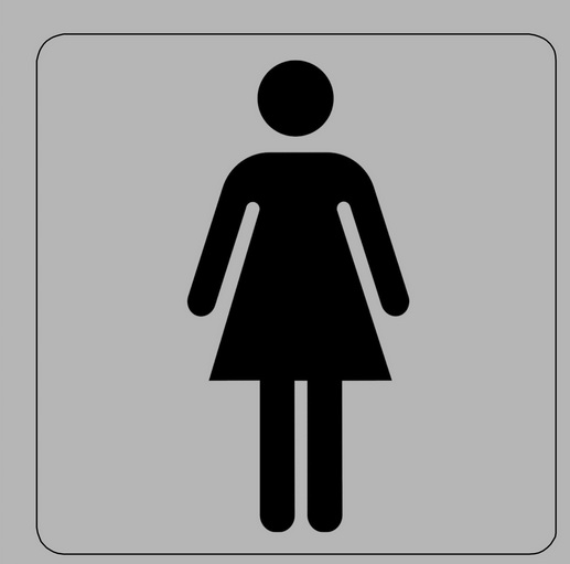 Tower Aluminium Sign – Ladies Toilet